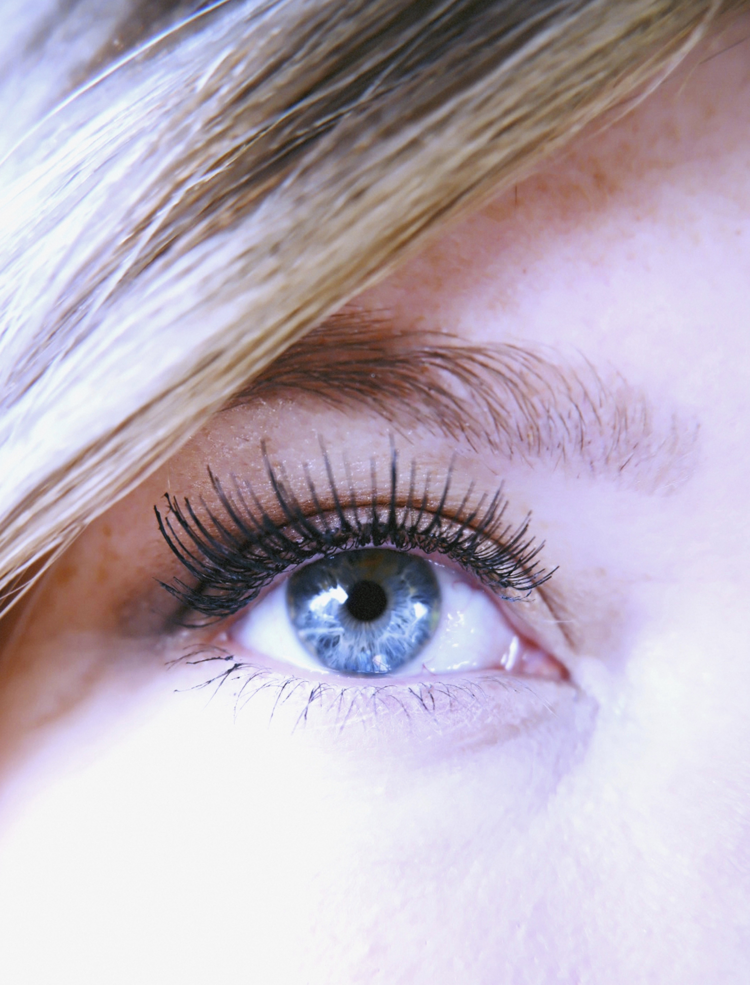 the best salon quality fake lashes that are easy to use and under $5