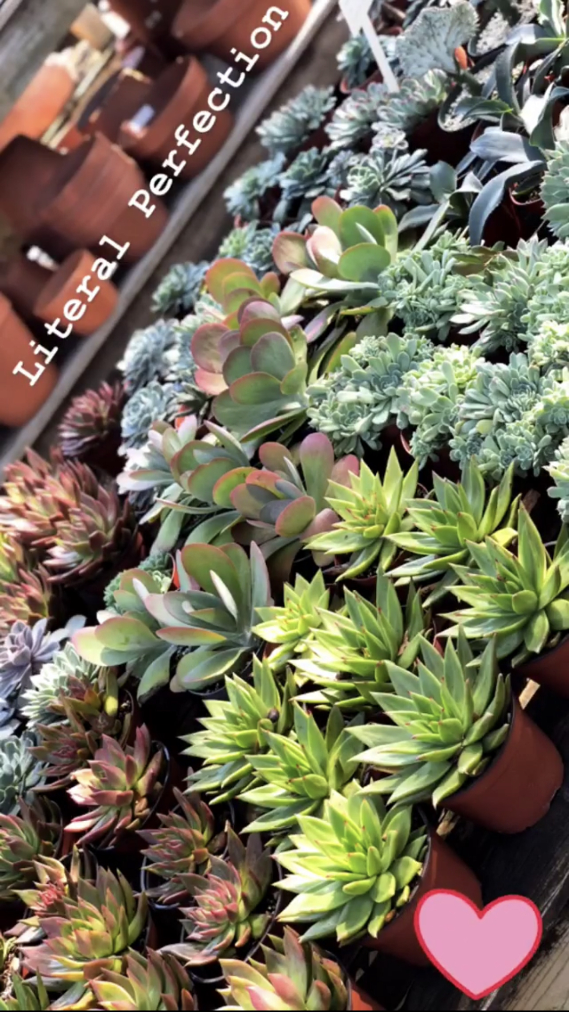 thompson-hanson-stone-house-nursery-garden-houston